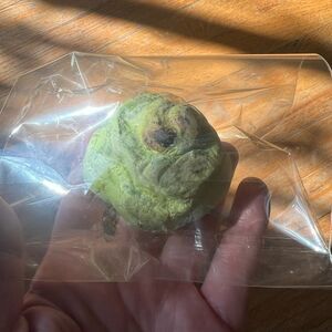 Lush Kitchen Box Exclusive NOUBAR Soap